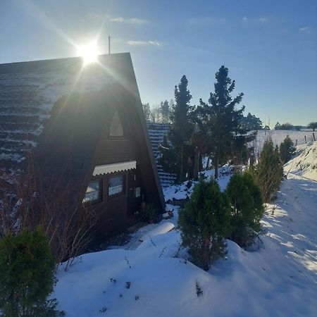 Haus Am See Willingen ヴィリンゲン エクステリア 写真