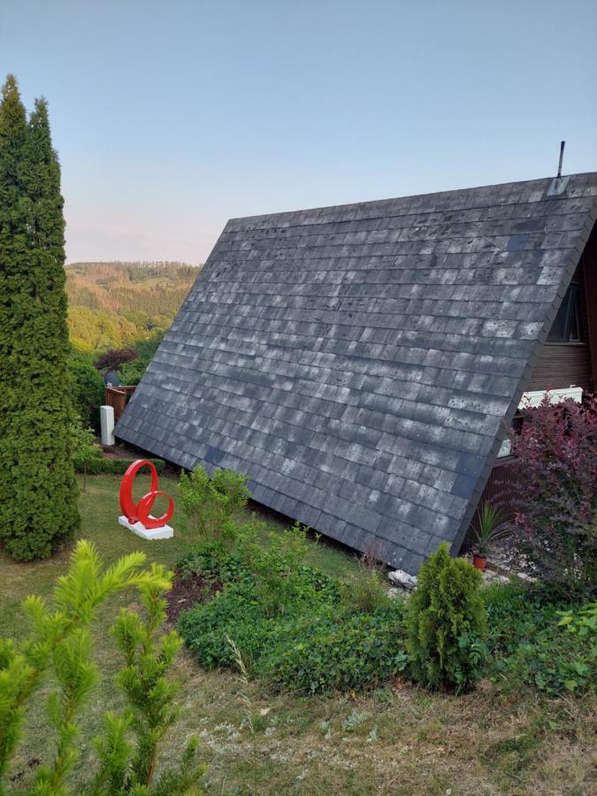 Haus Am See Willingen ヴィリンゲン エクステリア 写真