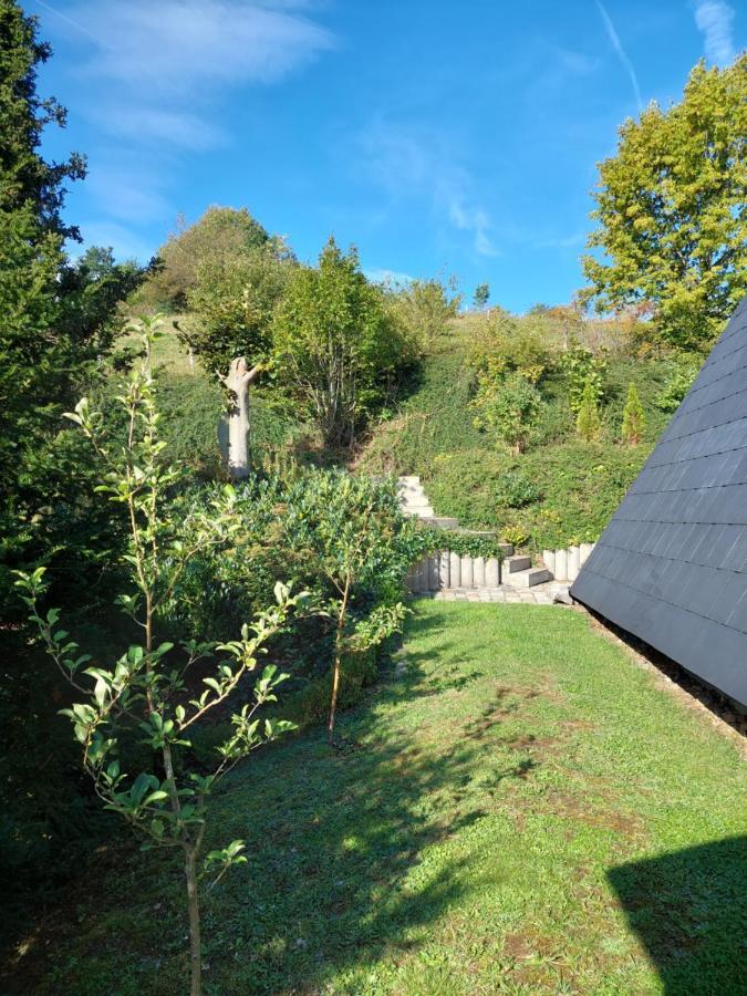 Haus Am See Willingen ヴィリンゲン エクステリア 写真