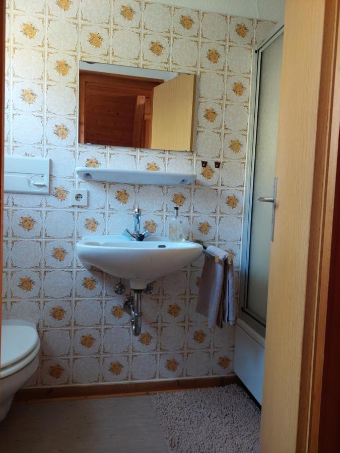 Haus Am See Willingen ヴィリンゲン エクステリア 写真