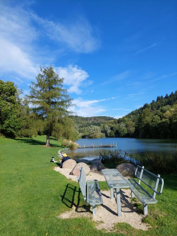 Haus Am See Willingen ヴィリンゲン エクステリア 写真
