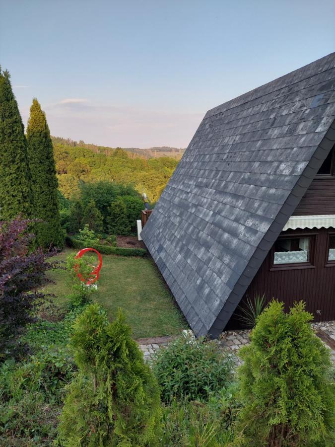 Haus Am See Willingen ヴィリンゲン エクステリア 写真