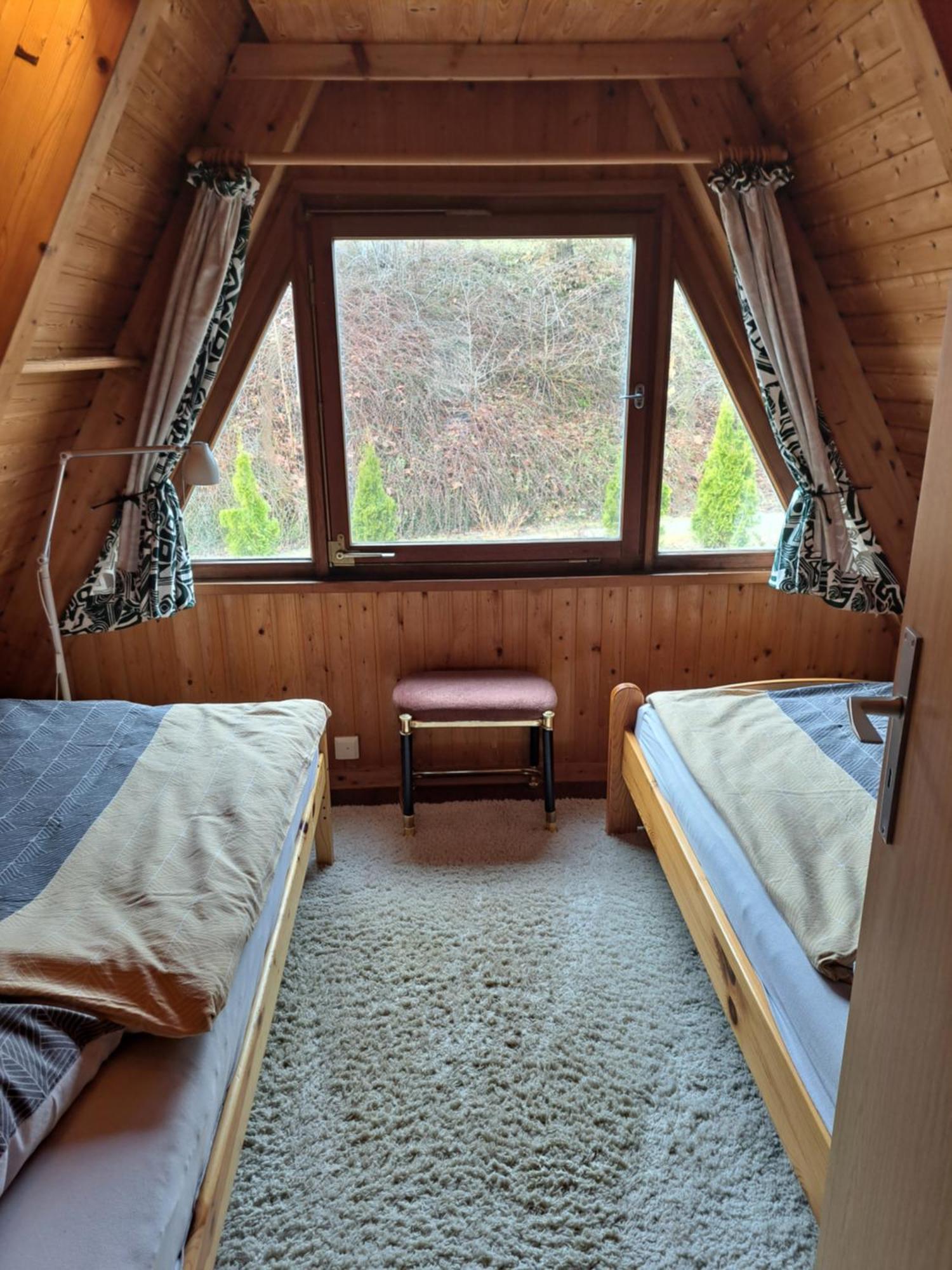 Haus Am See Willingen ヴィリンゲン エクステリア 写真